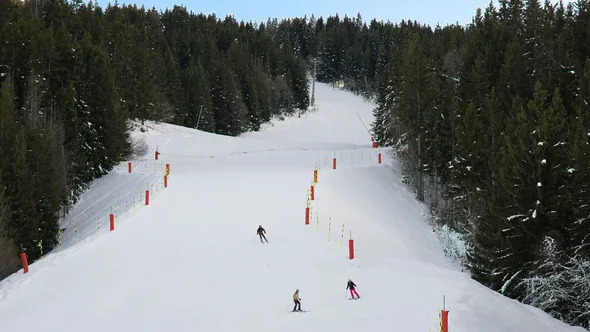 Skiers on a groomed piste between snow-dusted fir trees