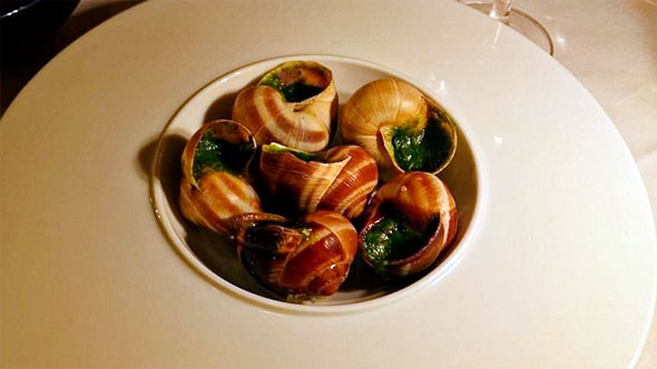 Изысканный Croque Sando из поджаренного тоста с начинкой из темного мяса, разрезанный на четыре части, поливаемый зеленым соусом, на розовой деревянной тарелке