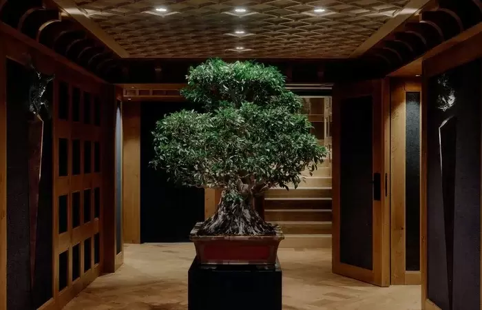 Bonsai tree in the timber-lined entrance hall of Aman Le Melezin