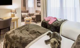 Elegance Room