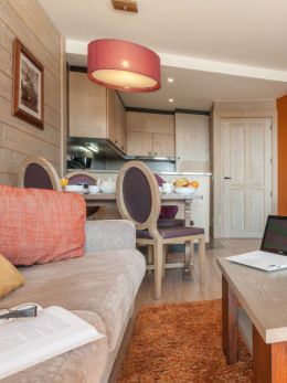 Standard Apartment - 1 bedroom
