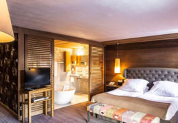 Junior Suite Mountain View