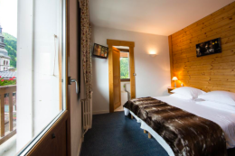 Double or Twin room