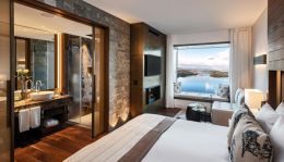 Deluxe Part Lake & Mountain View Room