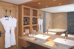Executive Double Room Mountain/park view