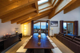 Contemporary Penthouse