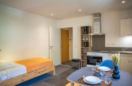 Modern studio without balcony